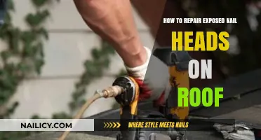 Fixing Exposed Nail Heads: A Step-by-Step Roof Repair Guide