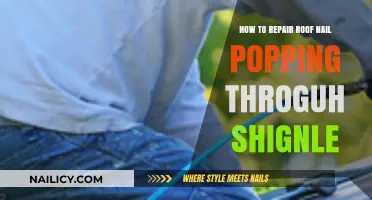 Fix Roof Nail Popping Through Shingles: Quick DIY Repair Guide