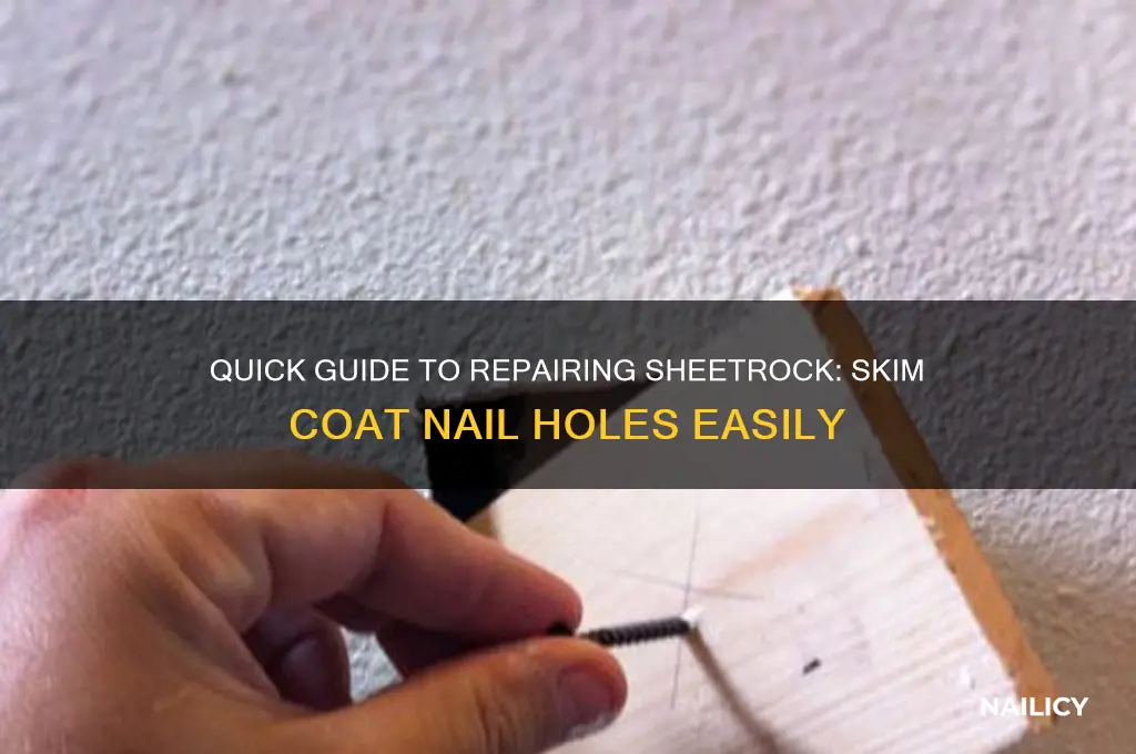 how to repair sheetrock skim nail hole
