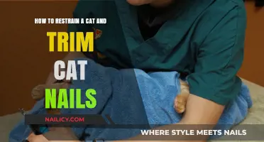 Restraining Your Cat: Nail Trimming Techniques