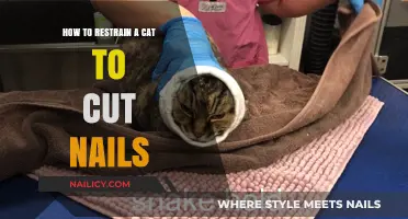 Restraining Your Cat for Nail Trims: Tips and Tricks