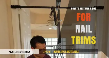 Restraining Your Dog for Nail Trims: Tips and Tricks