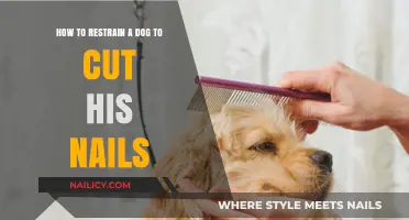 Restraining Your Dog for Nail Trimming: Tips and Tricks