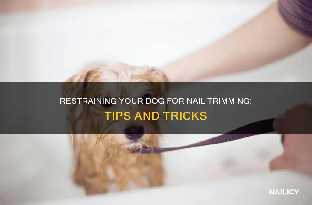 how to restrain a dog to cut his nails