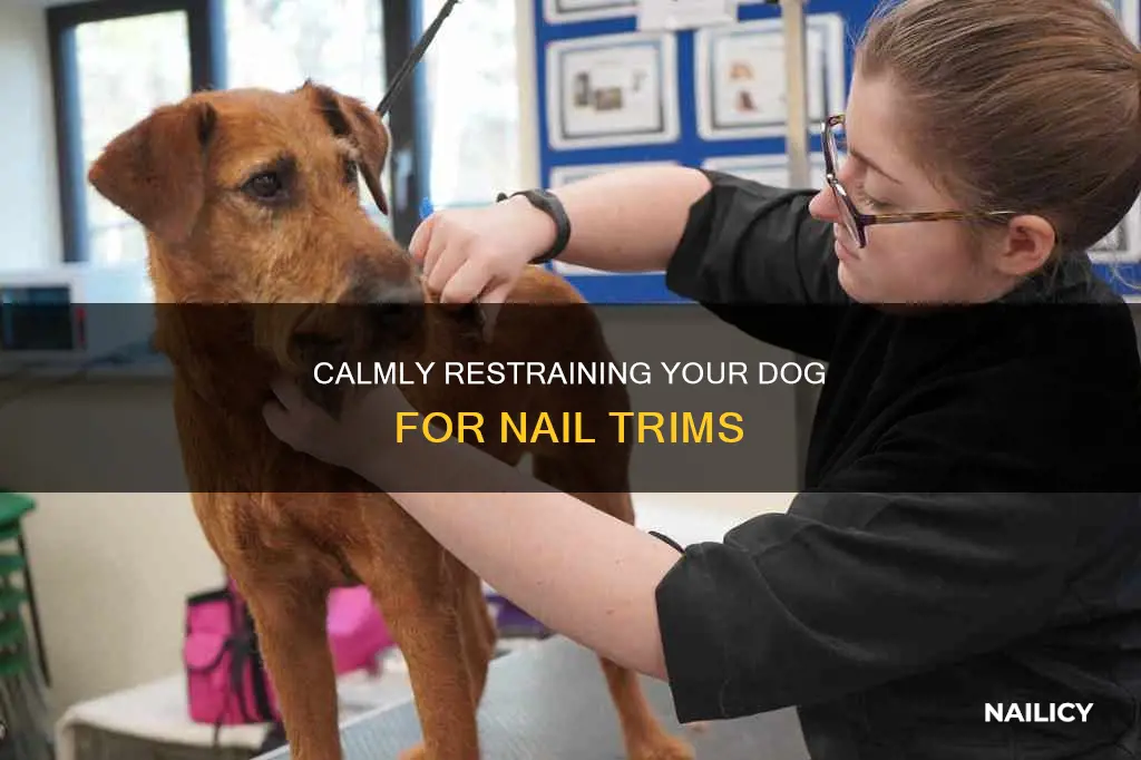 how to restrain a dog to cut nails