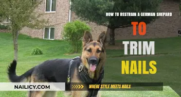 Trimming Nails: Restraining Your German Shepherd