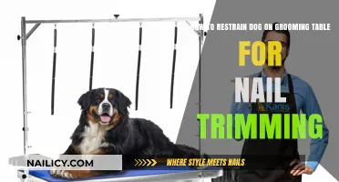 Restraining Dogs for Nail Trims: Tips and Tricks