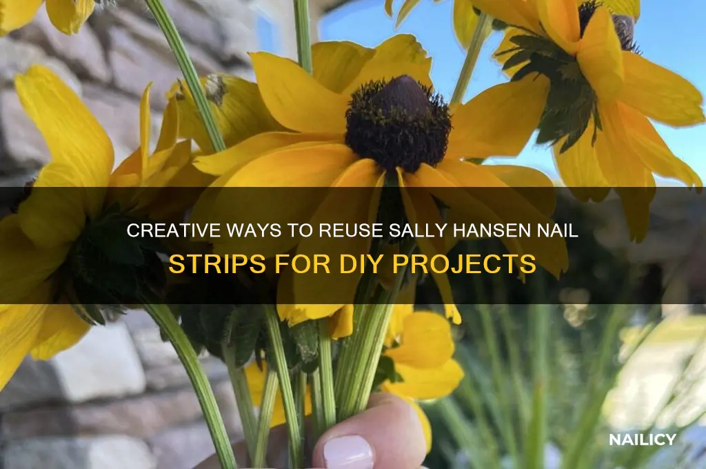 how to reuse sally hansen nail strips
