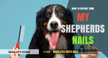 Trimming Your Shepherd's Nails: Rotary Tool Guide
