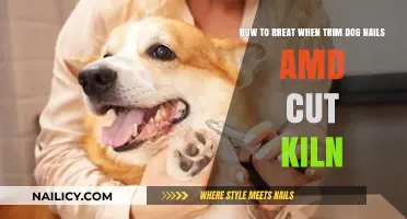 Trimming Dog Nails and Cutting Hair: A Step-by-Step Guide