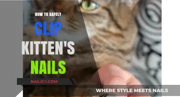 Gentle Grooming Guide: Safely Clipping Your Kitten’s Nails at Home