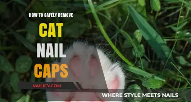 Safely Removing Cat Nail Caps: A Step-by-Step Guide