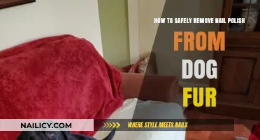 Removing Nail Polish from Dog Fur: Safe and Easy
