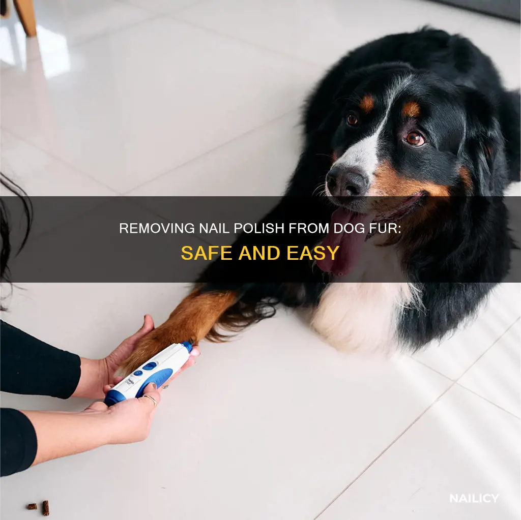 how to safely remove nail polish from dog fur