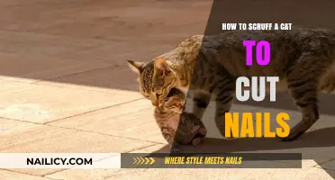 Scruffing Cats: Nail Cutting Technique