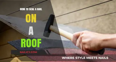 Effective Roof Nail Sealing: A Step-by-Step Guide to Prevent Leaks
