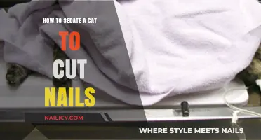Sedating Your Cat for Nail Trims: A Step-by-Step Guide