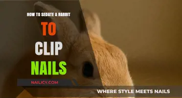 Safe Rabbit Nail Trimming: Sedation Techniques for Stress-Free Grooming