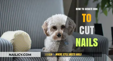 Calmly Sedate Dogs for Nail Trims