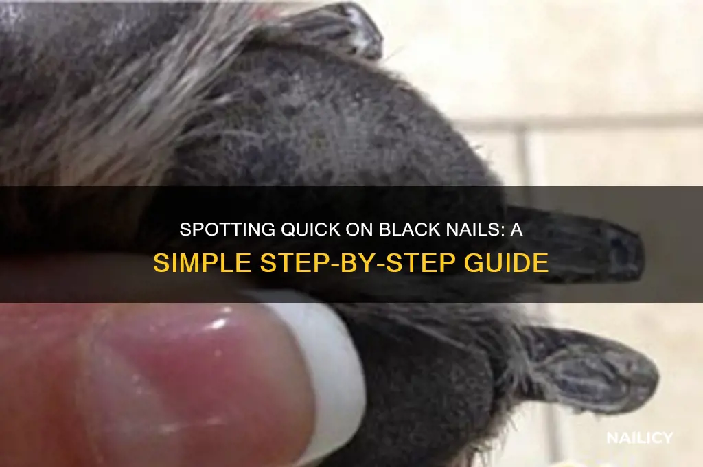 how to see the quick on black nails