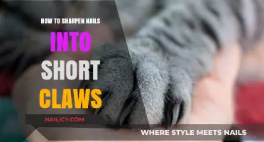 Master the Art of Sharpening Nails into Short Claws