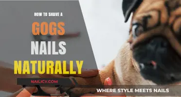 Natural Nail Care: Gentle Techniques for Trimming Your Dog's Nails
