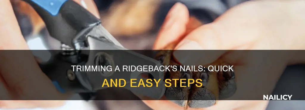 how to short to cut a ridgebacks nails