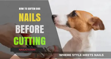 Trimming Dog Nails: Softening for a Safer Clip