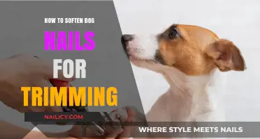 Trimming Dog Nails: Softening Techniques for Easy Clipping