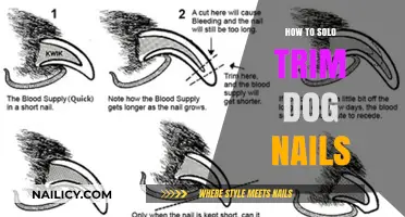 Trimming Your Dog's Nails Solo: A Step-by-Step Guide