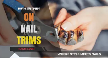 Trimming Nails: A Puppy's First Steps