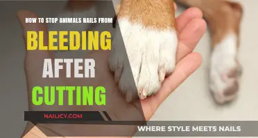 Trimming Pet Nails: Stop the Bleeding