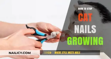 Trimming Cat Nails: Tips for Safe and Effective Clipping