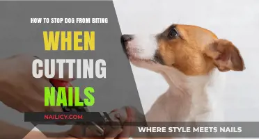 Trim Nails Without Trauma: Stop Dog Biting