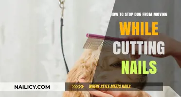 Calm Your Dog for Stress-Free Nail Trims
