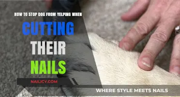Calm Nail Trimming: Stop Your Dog Yelping