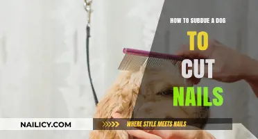 Calmly Subdue Dogs for Nail Trims
