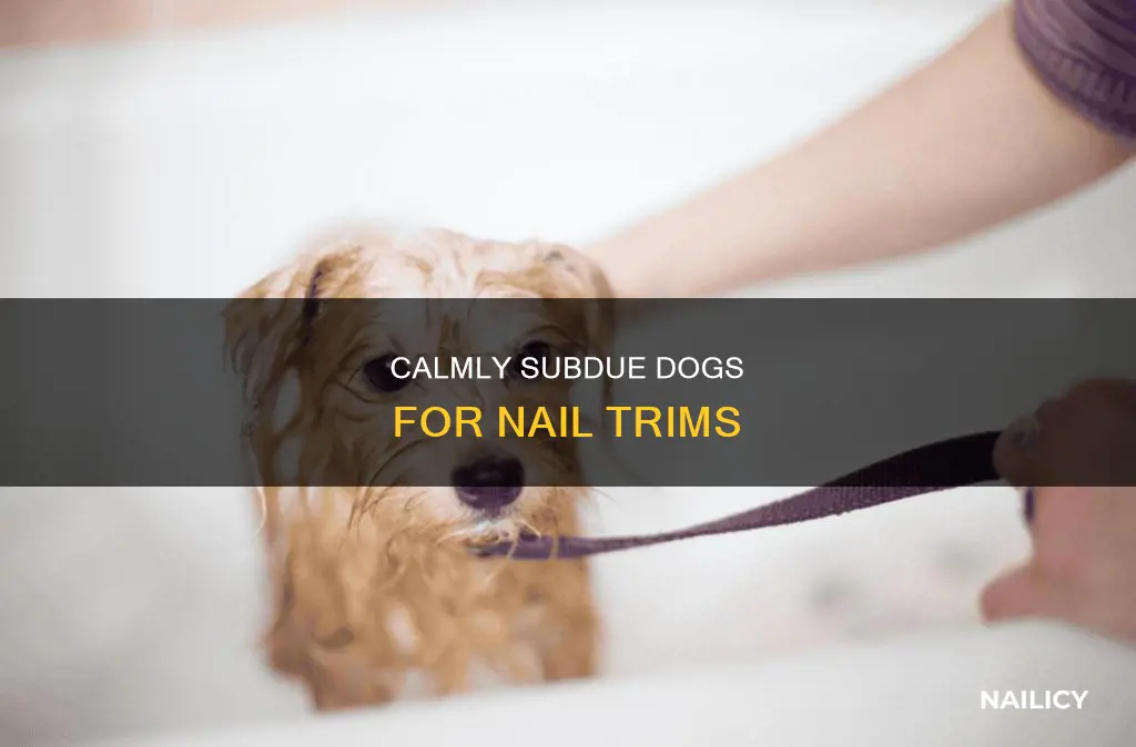 how to subdue a dog to cut nails