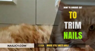 Trimming Cat Nails: Tips for a Calm Experience
