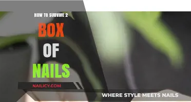 Surviving the Challenge: Tips to Endure Two Boxes of Nails