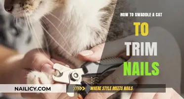 Swaddling Your Cat: Trimming Nails Made Easy