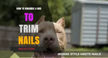 Swaddling Your Dog: Nail Trimming Made Easy