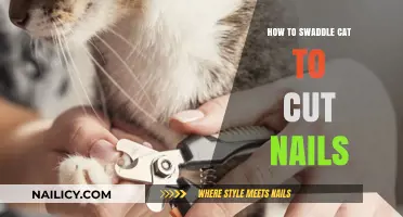 Swaddling Your Cat: Nail Cutting Made Easy