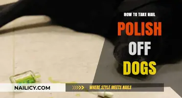 Safely Removing Nail Polish from Dogs: A Step-by-Step Guide