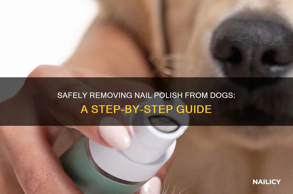 how to take nail polish off dogs