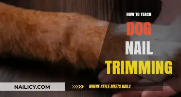 Training Dogs to Accept Nail Trims