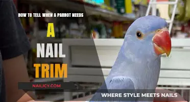 Parrot's Nails: Trimming Time Signs