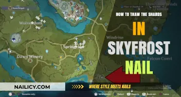 Mastering Skyfrost Nail: Effective Techniques to Thaw Shards Quickly