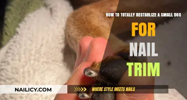 Destabilizing Tricks for Trimming a Small Dog's Nails