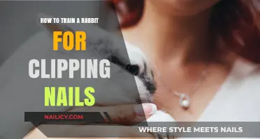 Mastering Nail Clipping: A Gentle Guide to Training Your Rabbit